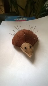 WP_20160302_001